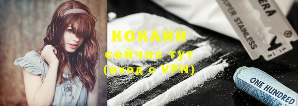 ГАЛЛЮЦИНОГЕННЫЕ ГРИБЫ Новозыбков