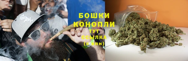 прущие крисы Новокубанск