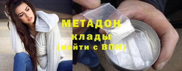 ГАЛЛЮЦИНОГЕННЫЕ ГРИБЫ Новозыбков