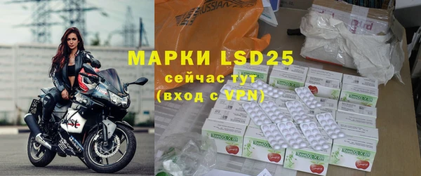 ГАЛЛЮЦИНОГЕННЫЕ ГРИБЫ Новозыбков