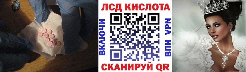 блэк спрут как зайти  Ногинск  Лсд 25 экстази ecstasy 