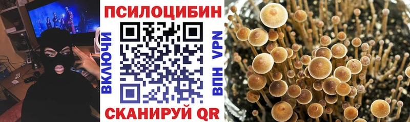 купить  цена  Ногинск  Псилоцибиновые грибы ЛСД 