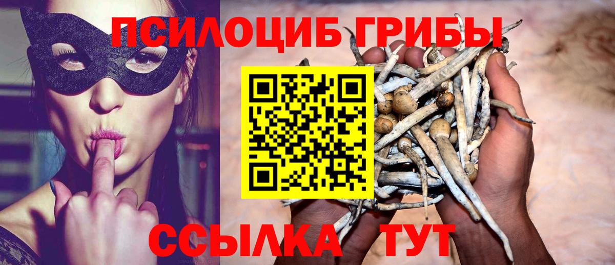 Псилоцибиновые грибы MAGIC MUSHROOMS  купить наркоту  Ногинск  Вход с VPN  Галлюциногенные грибы мухоморы 